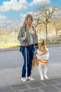 Blindenführhund zeigt eine Bordsteinkante an und schaut zum Frauchen, das daneben steht